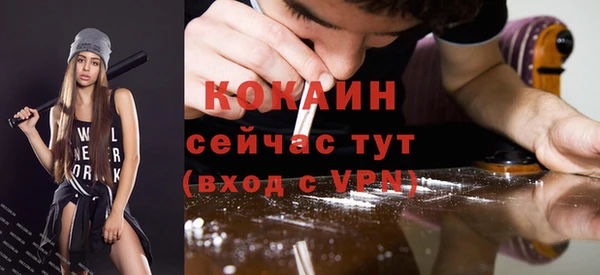 твердый Лабытнанги