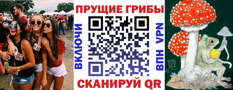 Купить  Тбилисская  Псилоцибиновые грибы ЛСД 