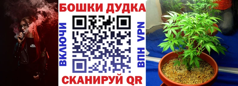 Купить  Тбилисская  Конопля MAZAR 